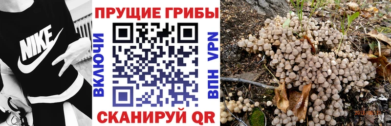 Галлюциногенные грибы мухоморы  Энгельс 