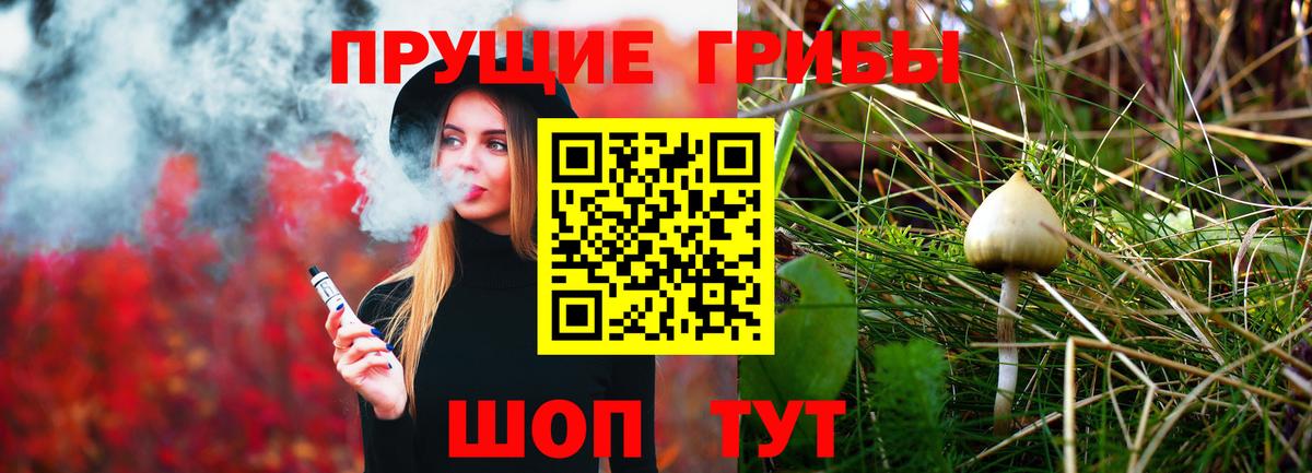 где можно купить   Вход с VPN  Энгельс  Галлюциногенные грибы MAGIC MUSHROOMS  Псилоцибиновые грибы Psilocybe 