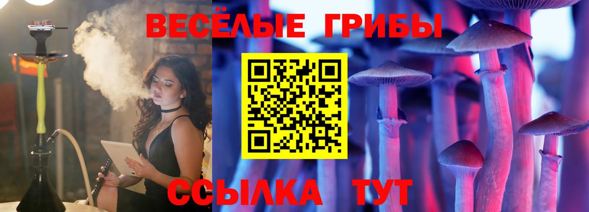 Псилоцибиновые грибы MAGIC MUSHROOMS Энгельс